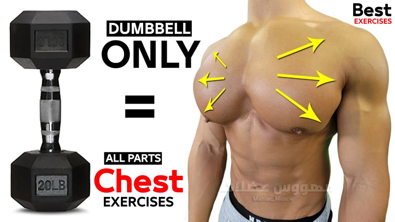 10 BEST CHEST EXERCISES WITH DUMBELLS ONLY 🎯 - YouTube