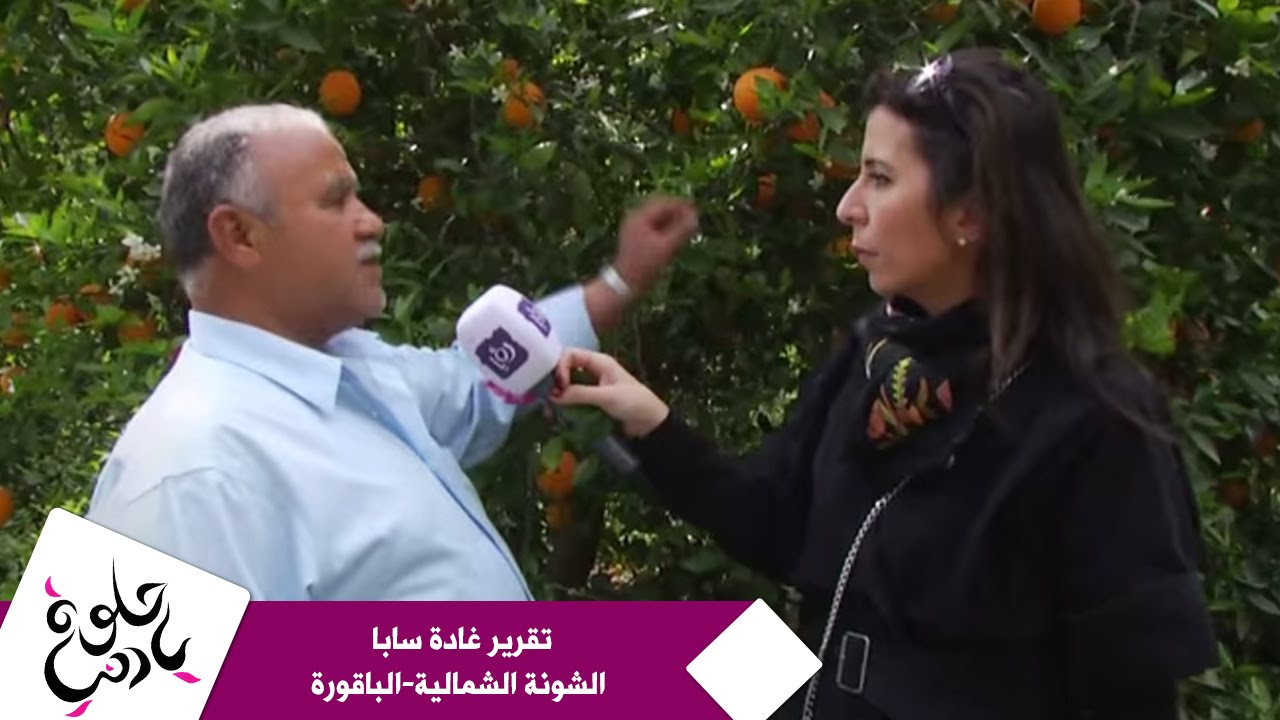 تقرير غادة سابا - الشونة الشمالية - الباقورة