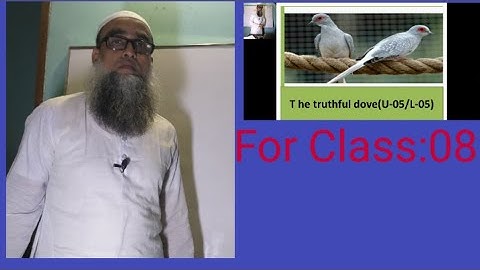 The truthful dove(U-5/L-5). English 1st.Class :Eight.