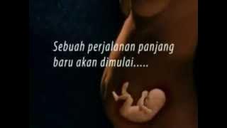 Perkembangan Bayi Dalam Kandungan Anda