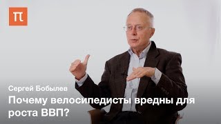 Индикатор устойчивого развития — Сергей Бобылев