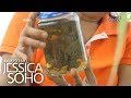 Kapuso Mo, Jessica Soho: Babae sa Butuan, sumusuka diumano ng palaka at insekto?