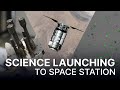 Science Launching to Space Station on NASA&#39;s 20th Northrop Grumman Mission