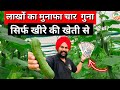 लाखों ऐसे कमाओ 😱 खीरे की नई तकनीक से ✅ || Cucumber Farming Agrosia Wire New Technology