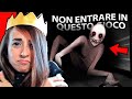 IL MISTERO IRRISOLTO DELL' ANIMA DI ROBLOX