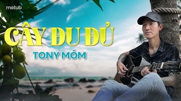 | LYRIC VIDEO | CÂY ĐU ĐỦ - TONY MÓM | Cây Đu Đủ Tôi Trồng Từ Khi Em Vẫn Chưa Chồng