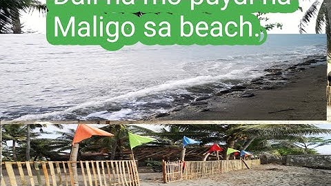 Almost Done Nipa hut beach catage.