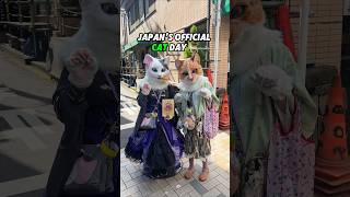 I Spent Japans Official Cat Day With Cats