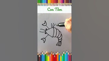 VẼ CON TÔM | Hướng dẫn vẽ con vật dưới đại dương | vẽ con vật em yêu thích nhất #smileart #shorts