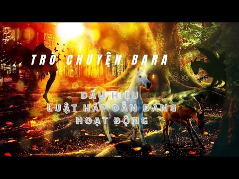 Dấu Hiệu Luật