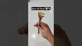 ??Name the bone???‍⚕️neet mbbsdoctor biologyneet2023motivationneet2024viraltrendingshorts