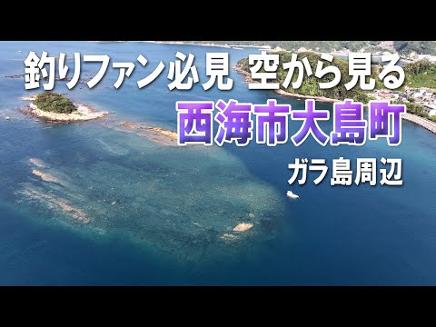 長崎県の海釣り　空撮フィッシングポイント290 長崎県の海釣り: 空撮フィッシングポイント290 | 国際総合企画