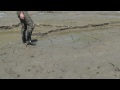 00098 - tidal mud flats