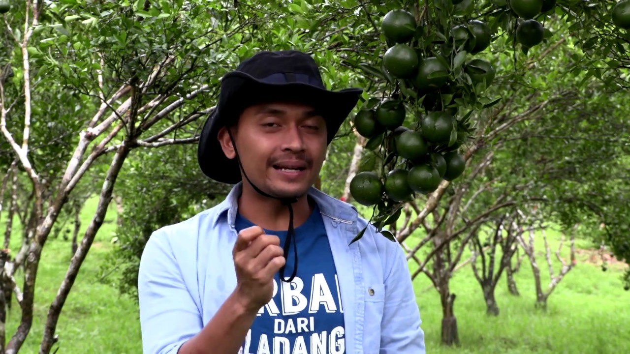 Terbaik Dari Ladang Musim Ke 2 - Teaser