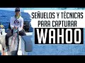 Señuelos y Técnicas para capturar Wahoo ( WAHOO GRANDE)