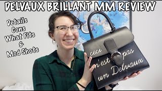 THE DELVAUX BRILLANT MM - Beautiful & Understated Luxury 🥰 details, what  fits, mod shots, & more! 