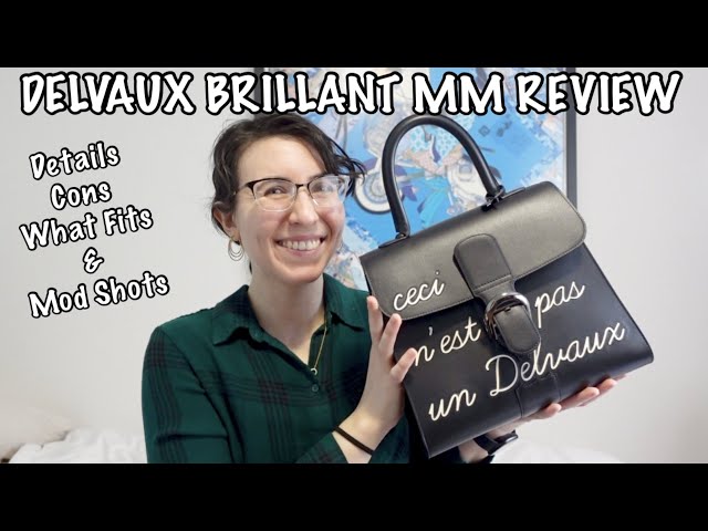 THE DELVAUX BRILLANT MM - Beautiful & Understated Luxury 🥰 details, what  fits, mod shots, & more! 