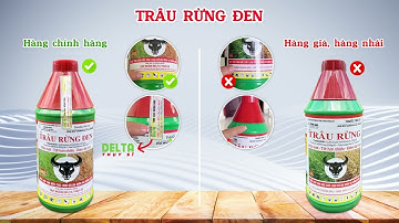 Cách nhận biết thuốc cỏ Q7, Q10, Trâu Rừng Đen chính hãng