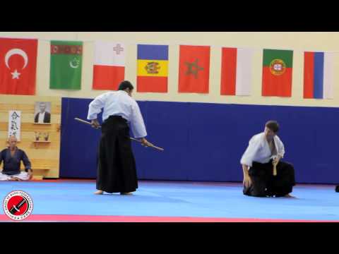 5th International Aikido Festival, Azerbaycan