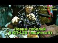 Ловим соболей в "КП-120 ящичный" третий год. Отличный капкан.