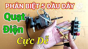 Cách phân biệt 5 đầu dây quạt điện ai cũng nên biết