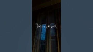 سورة فاطر|| القارئ الشيخ ياسر الدوسري #ياسر_الدوسري