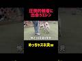 ドッグランの覇者に出会う子犬#ドッグラン #甲斐犬 #フレンチブルドッグ #犬のいる暮らし #犬動画 #犬同士 #犬の出会い #可愛い犬