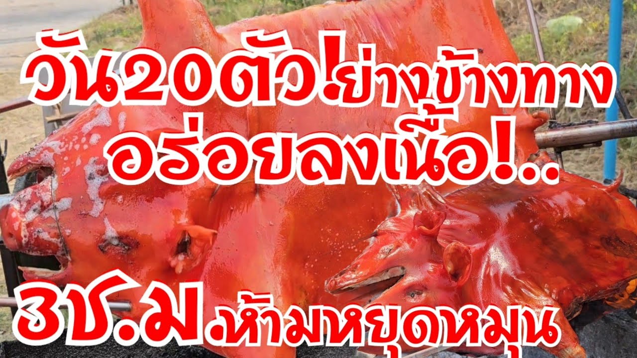 วัน20ตัว!..ย่างข้างทาง อร่อยลงเนื้อ สูตรนี้ห้ามหยุดหมุน ขายโคตรถูก 3ชั่วโมงไม่หยุดหัด