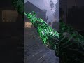 CALL OF DUTY 7 ZOMBIES Ray Gun #raygun #bo7raygun #bo7
