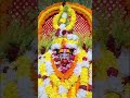 #tarapith #love #maashakti#bhakti#song #shyam #devi #maa #kali  #viral #music #video #life #mata