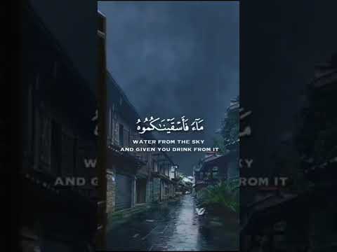 القارئ هزاع البلوشي تلاوة تثلج نبض قلبك قرآن 