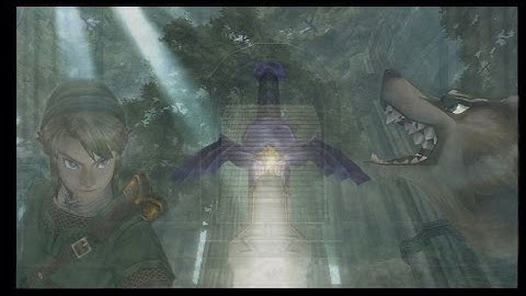 Twilight Princess: To fix or not to fix EMS