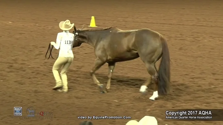 2017 AQHYA Showmanship