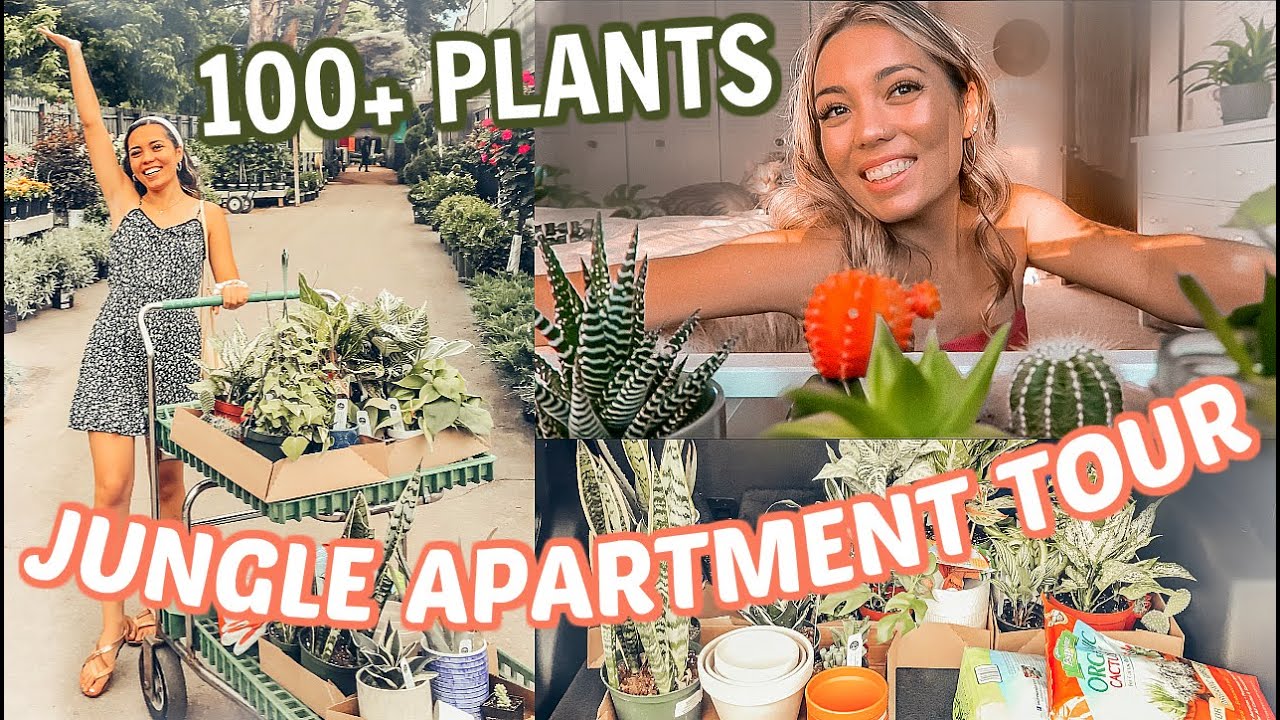 APARTMENT PLANT TOUR: my 100+ houseplants *extreme*