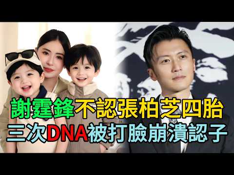 謝賢臨終錄音流出:四胎女兒必須姓謝!張柏芝哭到昏厥,謝霆鋒當場下跪!#謝霆鋒 #張柏芝 #謝賢