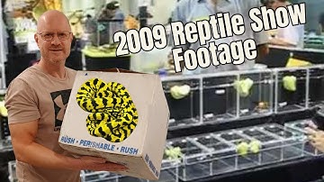 Vintage Reptile Show Footage & Unboxing Baby Green Trees & Incredible Baby Carpets