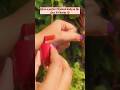 Lip & Cheek Tint 💕🍎#youtubeshorts#shorts#liptint#cheektint#elle18#etude#liptint#naykaa#viralvideo