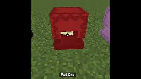 How to dye shulker in Minecraft pocket edition