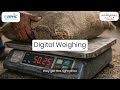 How e-APMC is Transforming Agricultural Markets in India | IT Services | VGIPL