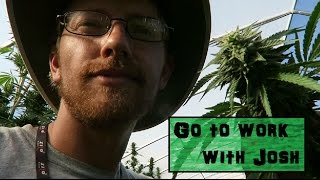 A Little Tour of an Oregon Cannabis Farm