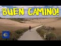 Buen Camino! Full Documentary