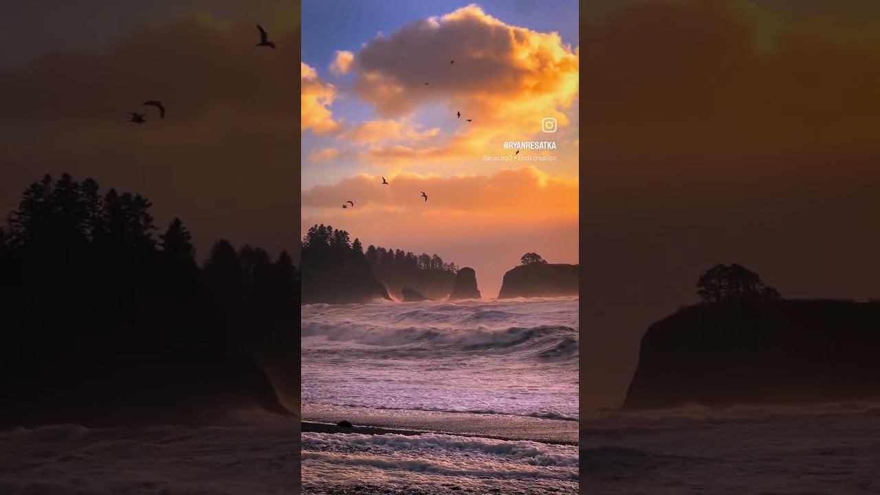 just visit forks Washington 