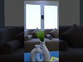 احدي تشط احدي تشط