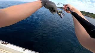 色々なイサキ釣りと新しい発見 Various types of chicken grunt fishing and new discoveries