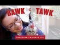 Bawk Tawk LIVE! How Cold is TOO Cold for Chickens?