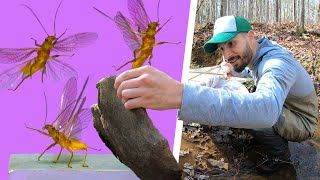 Finding New Aquatic Insects & Fighting Pollution