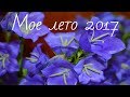 Мое лето 2017. Бая Че Доктор Натуропатии