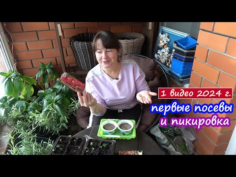 Мороз -25! Сломались гирлянды! Как зимуют кролики? Первые посевы и пикировка.