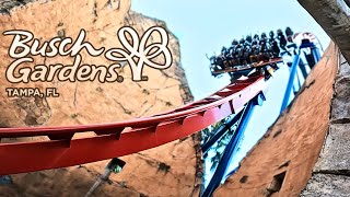 BUSCH GARDENS TAMPA'S Top 5 Thrilling Rides!