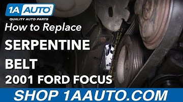 How to Replace Serpentine Belt 00-04 Ford Focus